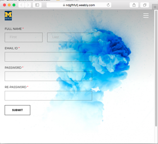 A fake login page is presented by the link in the email.