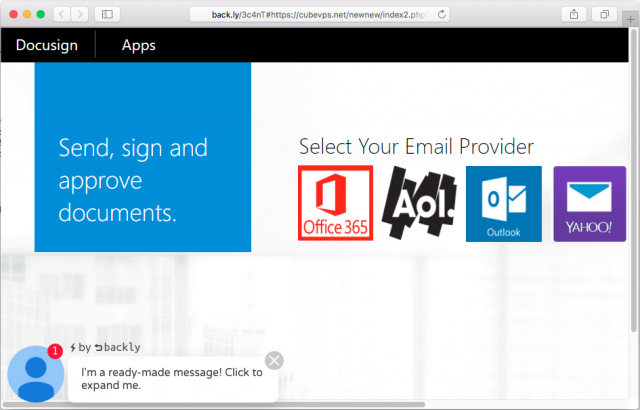 A fake login page is presented by the link in the email.